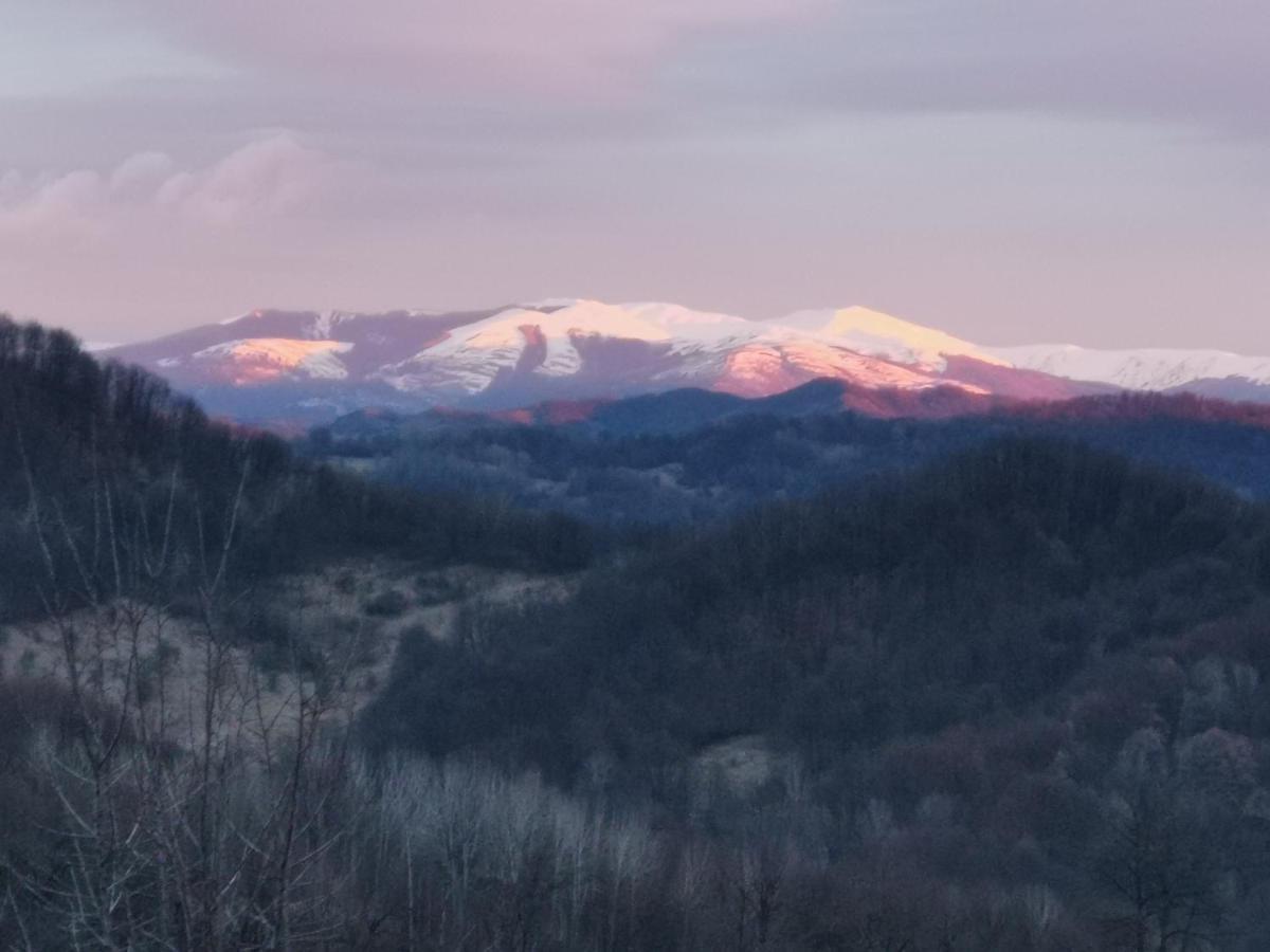 Villa Cabanuta Fara Fite Provita de Jos Esterno foto
