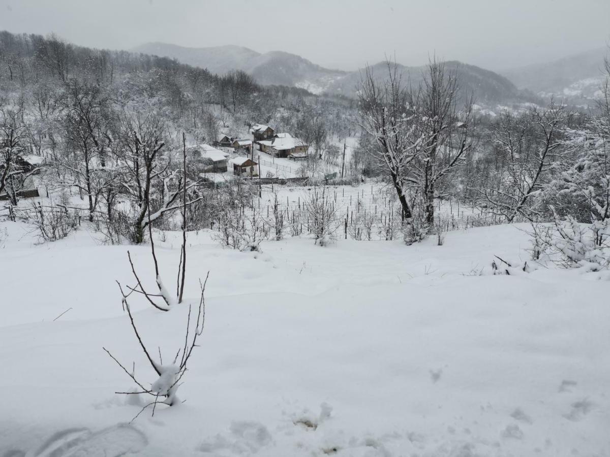 Villa Cabanuta Fara Fite Provita de Jos Esterno foto