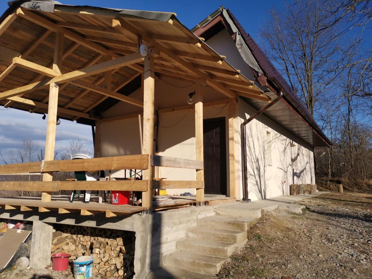 Villa Cabanuta Fara Fite Provita de Jos Esterno foto
