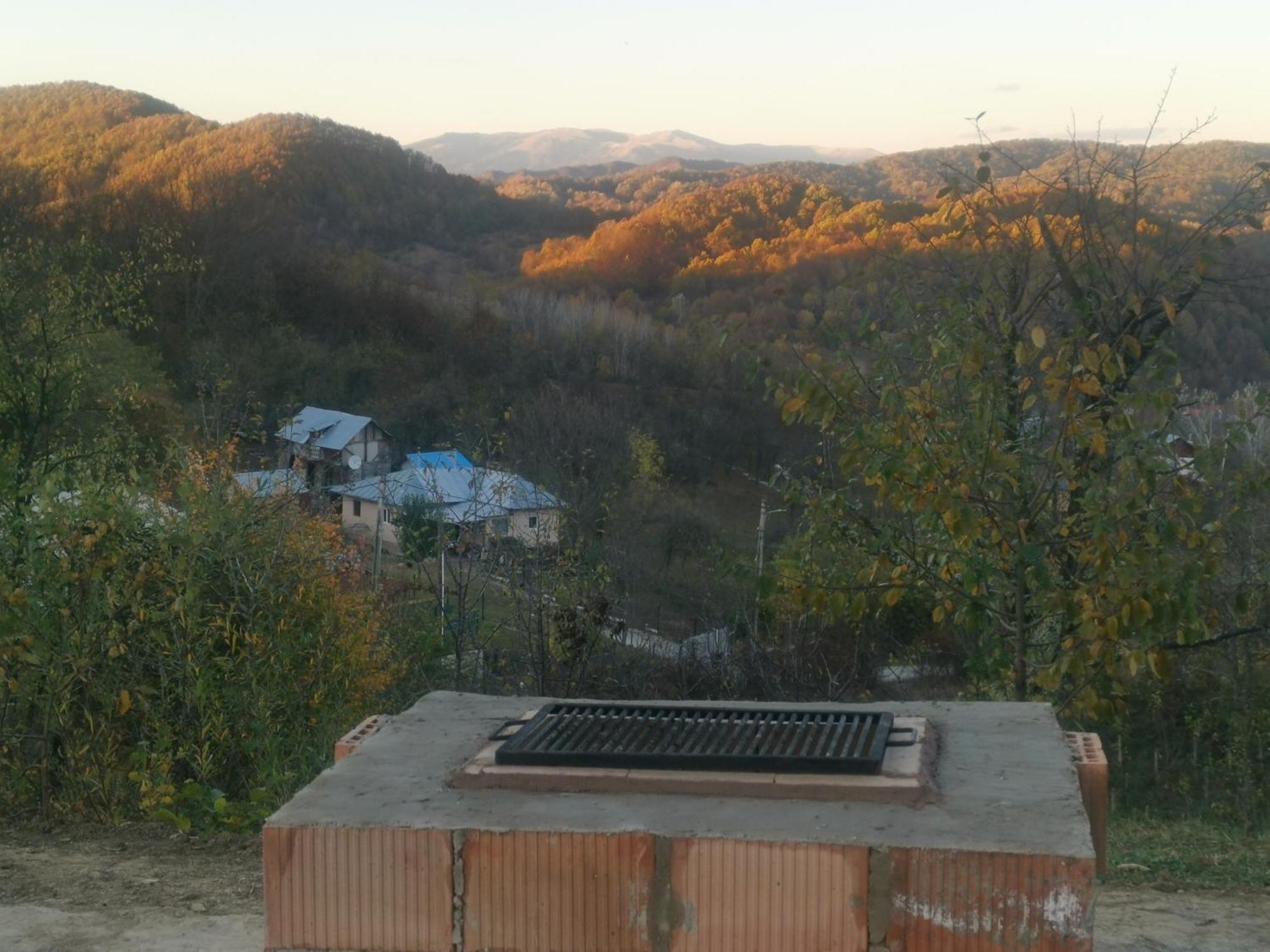 Villa Cabanuta Fara Fite Provita de Jos Esterno foto