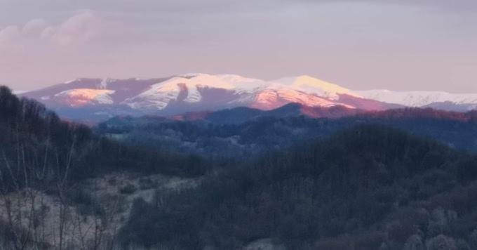 Villa Cabanuta Fara Fite Provita de Jos Esterno foto
